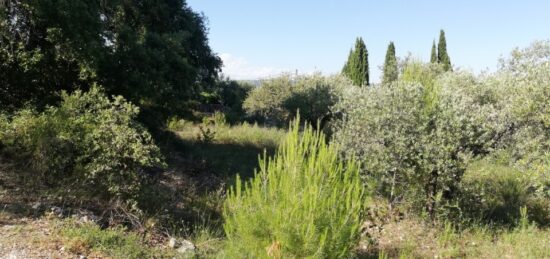 Terrain à bâtir à Lorgues, Provence-Alpes-Côte d'Azur