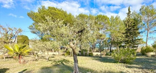 Terrain à bâtir à La Roquebrussanne, Provence-Alpes-Côte d'Azur
