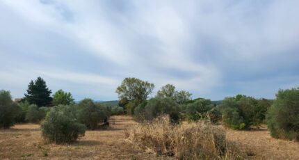 Tavernes Maison neuve - 2248973-10746annonce120250822G2Jsb.jpeg Maisons de Manon