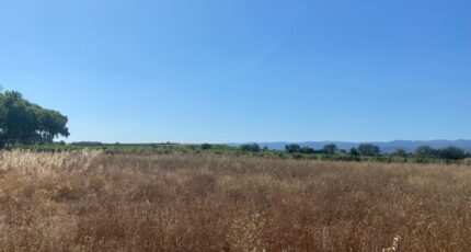 Olonzac Maison neuve - 2253317-11018annonce2202508283brrv.jpeg Maisons de Manon