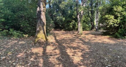 Saint-Cézaire-sur-Siagne Terrain à bâtir - 2257432-5826annonce120250902nsHVC.jpeg Maisons de Manon