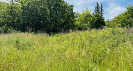 Régusse Maison neuve - 2269799-9707annonce320250912ck68m.jpeg Maisons de Manon