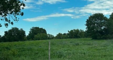 Blauzac Maison neuve - 2272845-3243annonce120250916GMdoo.jpeg Maisons de Manon