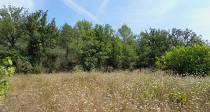 Camps-la-Source Maison neuve - 2273241-10744annonce120250527SmplM.jpeg Maisons de Manon