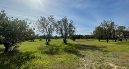 Saint-Quentin-la-Poterie Maison neuve - 2279815-3243annonce220250922K4LJN.jpeg Maisons de Manon