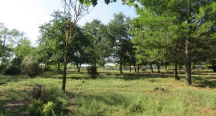 Montignargues Maison neuve - 2279966-3243annonce320250922EbJWP.jpeg Maisons de Manon