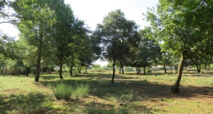 Montignargues Terrain à bâtir - 2280003-3243annonce220250922O4n4a.jpeg Maisons de Manon