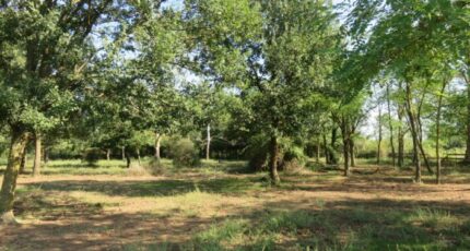 Montignargues Maison neuve - 2280044-3243annonce120250922pPbsT.jpeg Maisons de Manon