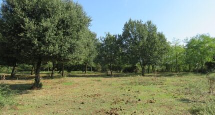 Montignargues Maison neuve - 2280044-3243annonce220250922mO3A5.jpeg Maisons de Manon