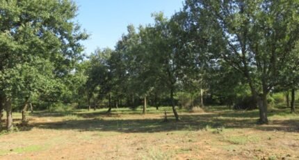 Montignargues Maison neuve - 2280044-3243annonce320250922hMmo3.jpeg Maisons de Manon