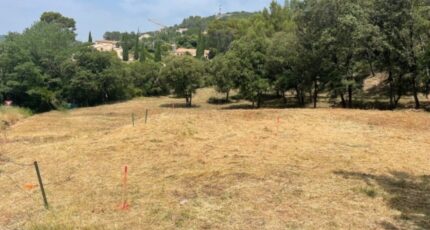 Taradeau Terrain à bâtir - 2287258-5826annonce1202509297xqJX.jpeg Maisons de Manon