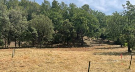 Taradeau Terrain à bâtir - 2287258-5826annonce220250929Ltgu7.jpeg Maisons de Manon