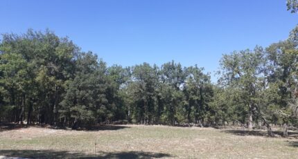 Tourrettes Terrain à bâtir - 2288083-5826annonce2202509307qJJJ.jpeg Maisons de Manon