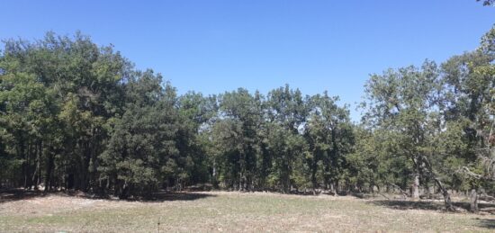 Terrain à bâtir à , Var