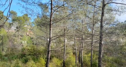 Brignoles Terrain à bâtir - 2289651-10744annonce3202510015lUVV.jpeg Maisons de Manon