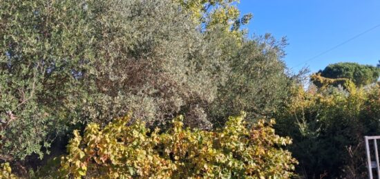 Terrain à bâtir à Le Val, Provence-Alpes-Côte d'Azur