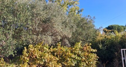 Le Val Maison neuve - 2289816-10746annonce120251001gx9bd.jpeg Maisons de Manon