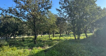 Le Plan-de-la-Tour Terrain à bâtir - 2304632-11102annonce120251014qFf2I.jpeg Maisons de Manon