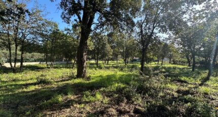 Le Plan-de-la-Tour Terrain à bâtir - 2304632-11102annonce220251014sLfKs.jpeg Maisons de Manon