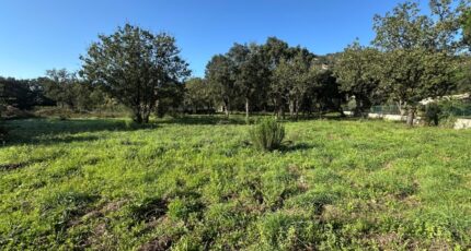 Le Plan-de-la-Tour Terrain à bâtir - 2304632-11102annonce320251014BQlEd.jpeg Maisons de Manon