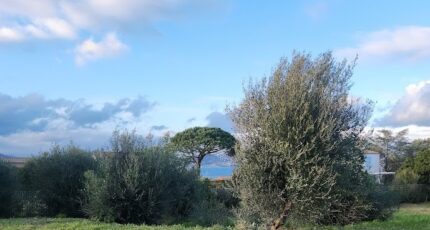 Hyères Terrain à bâtir - 2264578-11077annonce120250908yZESc.jpeg Maisons de Manon