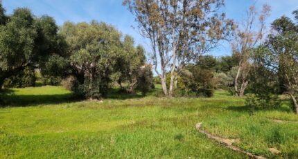 La Cadière-d'Azur Maison neuve - 2268309-11077annonce220250911OKAsK.jpeg Maisons de Manon