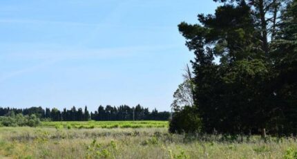 Domazan Maison neuve - 2307875-3243annonce120251016dr0d9.jpeg Maisons de Manon