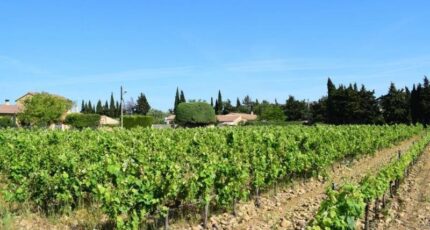 Estézargues Maison neuve - 2307931-3243annonce320251016aiLlJ.jpeg Maisons de Manon