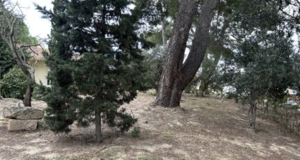 Bouzigues Maison neuve - 2308249-11018annonce120251016eI9Bo.jpeg Maisons de Manon