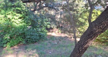 Martigues Maison neuve - 2308555-7050annonce120251017ZdwrT.jpeg Maisons de Manon