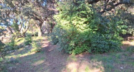 Martigues Maison neuve - 2308555-7050annonce220251017ssqA2.jpeg Maisons de Manon