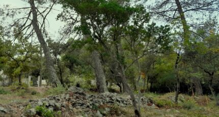 Saint-Maximin-la-Sainte-Baume Maison neuve - 2310254-10744annonce120251019Rvy0u.jpeg Maisons de Manon