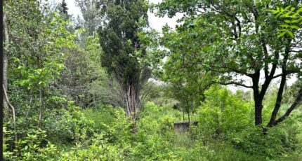 Éguilles Terrain à bâtir - 2319107-2699annonce120251027xCGSw.jpeg Maisons de Manon