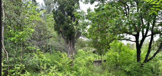 Terrain à bâtir à Éguilles, Provence-Alpes-Côte d'Azur