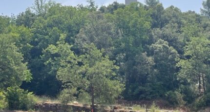 Taradeau Terrain à bâtir - 2319216-10744annonce220251027rnylg.jpeg Maisons de Manon