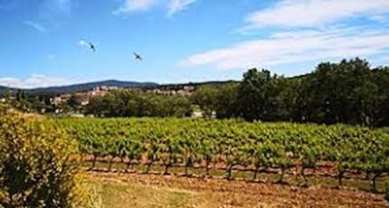 Peynier Terrain à bâtir - 2286297-7054annonce220250927gNF7P.jpeg Maisons de Manon