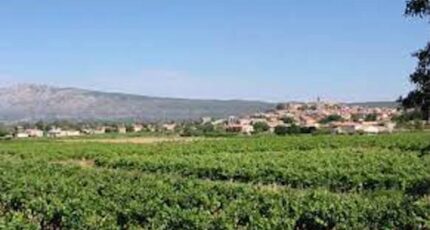 Pourrières Terrain à bâtir - 2287565-7054annonce120250929bFhIv.jpeg Maisons de Manon