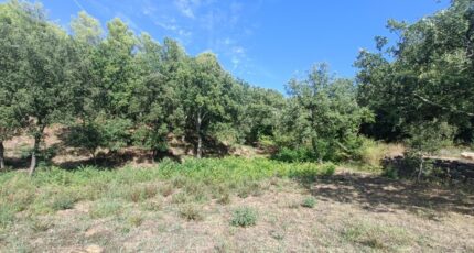 Taradeau Terrain à bâtir - 2265497-9911annonce320250909tfG71.jpeg Maisons de Manon