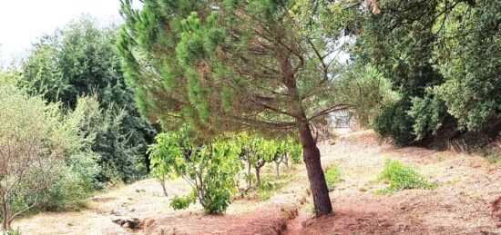 Terrain à bâtir à , Var