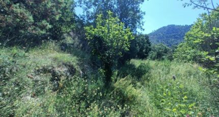 Aspremont Maison neuve - 2332584-9911annonce120251107xr4KV.jpeg Maisons de Manon