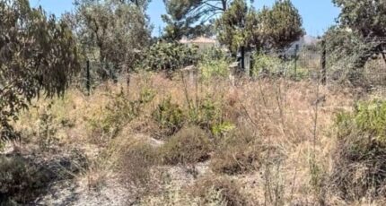 La Ciotat Terrain à bâtir - 2299625-7054annonce1202510097JqPQ.jpeg Maisons de Manon