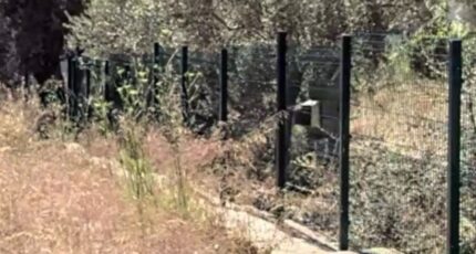 La Ciotat Terrain à bâtir - 2299625-7054annonce220251009vrZ0l.jpeg Maisons de Manon