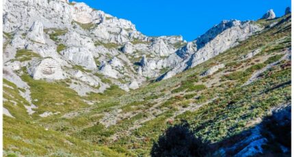 Marseille 9 Terrain à bâtir - 2300410-7054annonce120251009MvL4K.jpeg Maisons de Manon