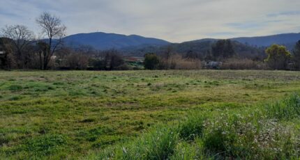 Pignans Maison neuve - 2303198-10746annonce120251013AFDTW.jpeg Maisons de Manon