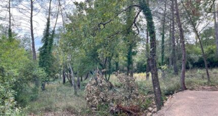 Tourrettes Terrain à bâtir - 2302539-10140annonce220251012XEuc5.jpeg Maisons de Manon