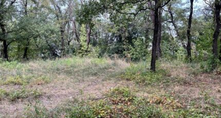 Vence Maison neuve - 2301981-10140annonce220251013kCIcI.jpeg Maisons de Manon