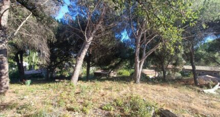 Roquebrune-sur-Argens Maison neuve - 2337419-9911annonce220251113sA4fk.jpeg Maisons de Manon