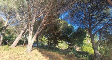 Roquebrune-sur-Argens Maison neuve - 2337419-9911annonce520251113TJwaG.jpeg Maisons de Manon