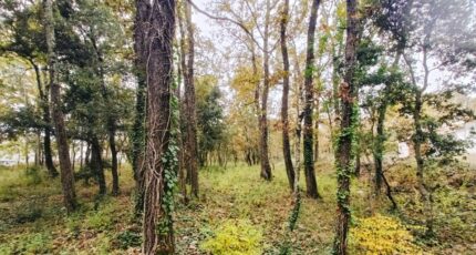 Trans-en-Provence Terrain à bâtir - 2338646-9911annonce220251114cBUKO.jpeg Maisons de Manon