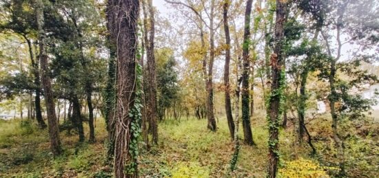 Terrain à bâtir à , Var